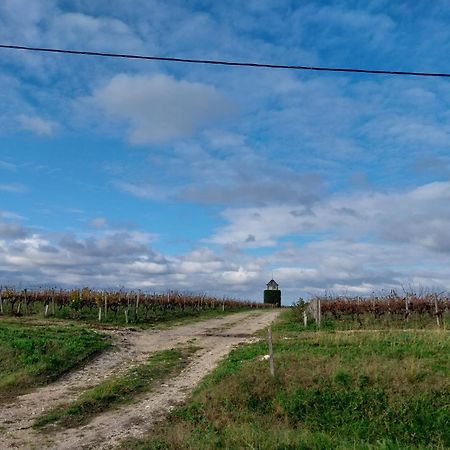Gite Chez Lea Saint-Seurin-de-Cadourne Zewnętrze zdjęcie