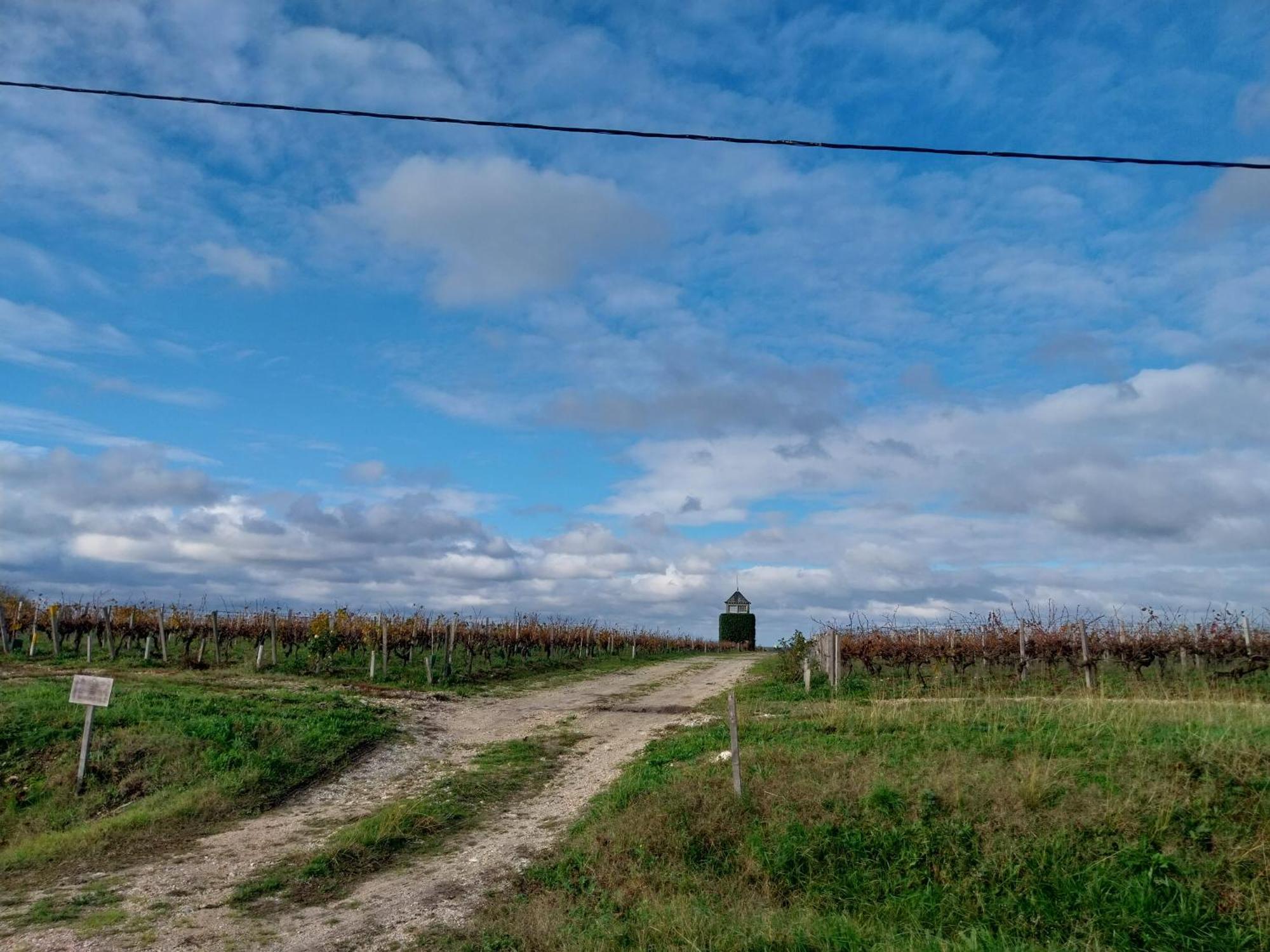 Gite Chez Lea Saint-Seurin-de-Cadourne Zewnętrze zdjęcie